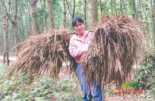 老哥俱乐部-老哥必备的交流社区