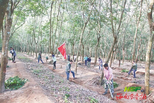 老哥俱乐部-老哥必备的交流社区