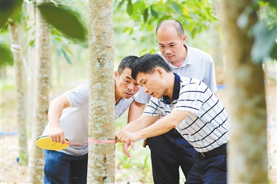 老哥俱乐部-老哥必备的交流社区