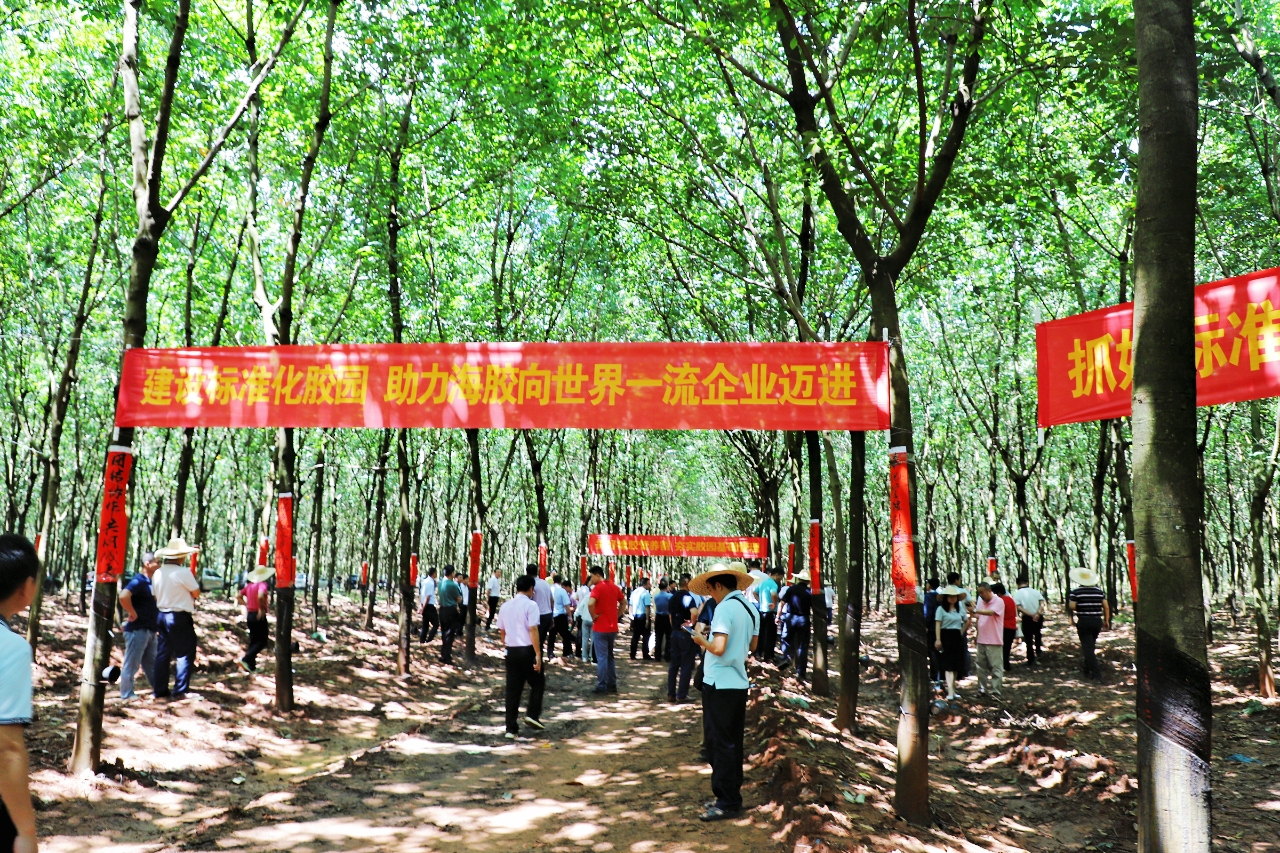 老哥俱乐部-老哥必备的交流社区